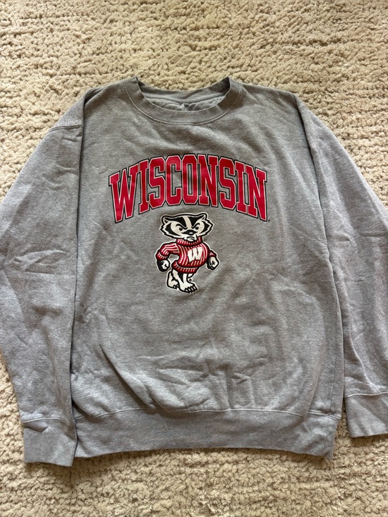 Other - Wisconsin Gray Crewneck Sweatshirt with Red Mascot Graphic
